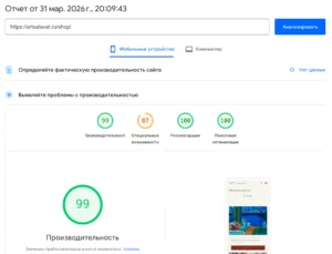 2026-03-31 20-10-12 PageSpeed Insights