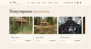 2026-04-27 19-22-06 ТЕРЕМ — Бани, беседки и заб…люч в Московской области ?