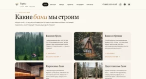 2026-04-27 19-21-20 ТЕРЕМ — Бани, беседки и заб…люч в Московской области ?